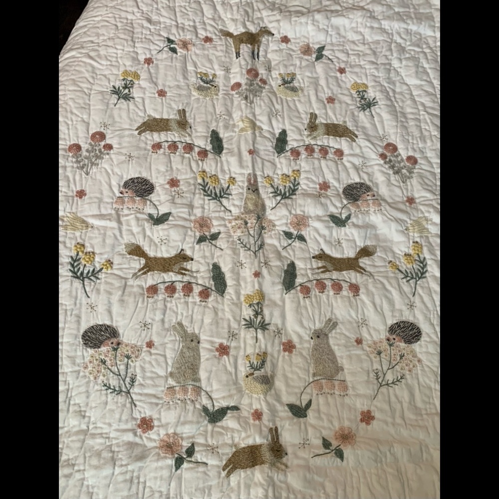 NWT Pottery Barn Ramona Quilt and sheet